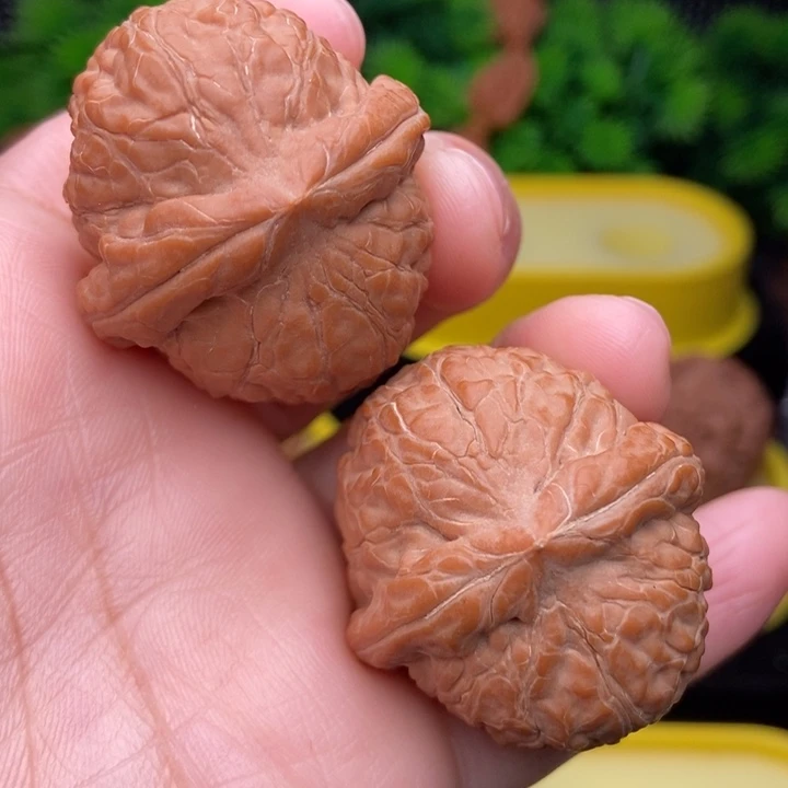 舍利子38全品区11111