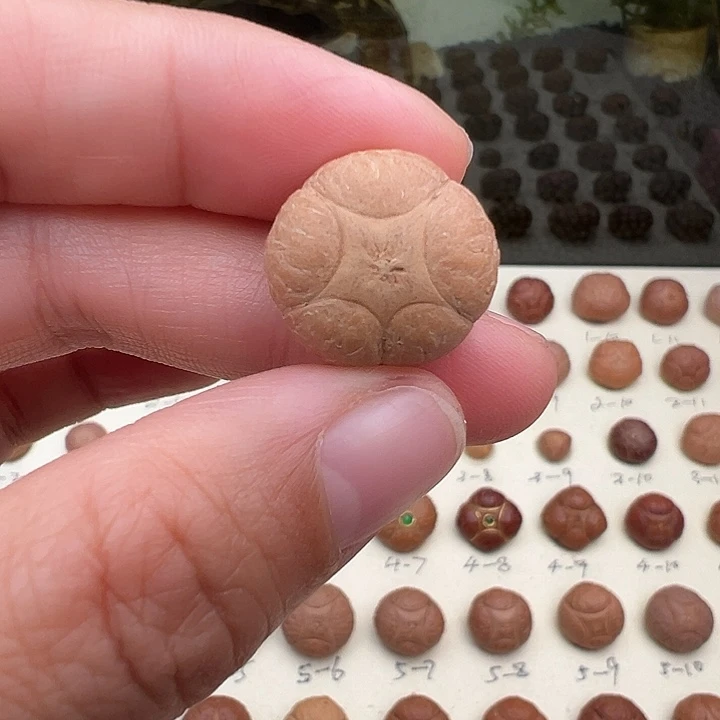 凤眼菩提吊坠五星