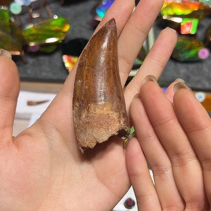 铭***精品系列产品摆件13578