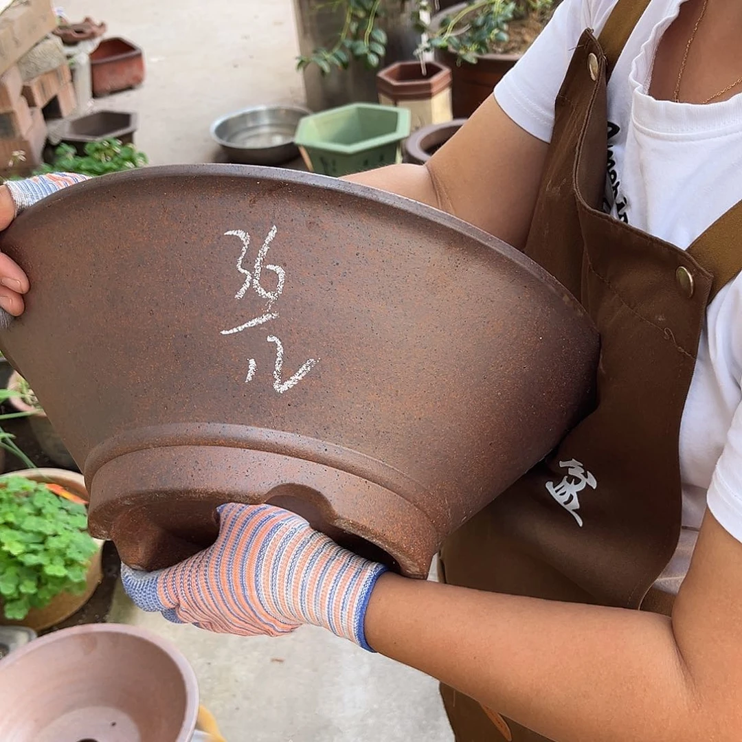 紫砂花盆盆景艺术