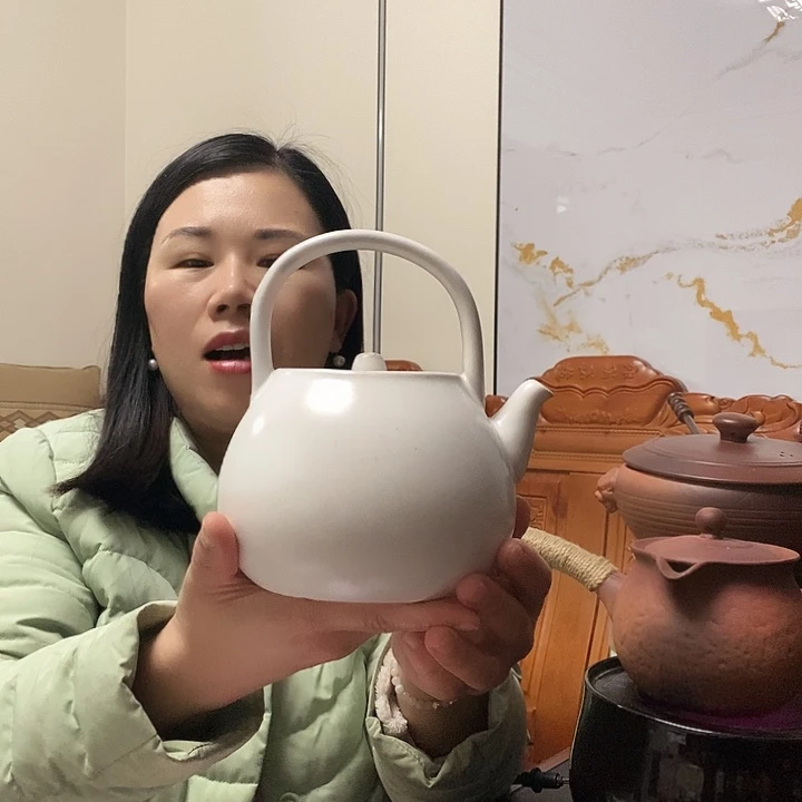 火山石煮某壶8060809