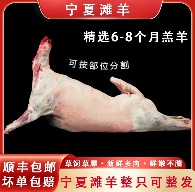 正宗宁夏滩羊不腥不膻散养特产整羊23-30斤礼盒整发/切块50%腿排