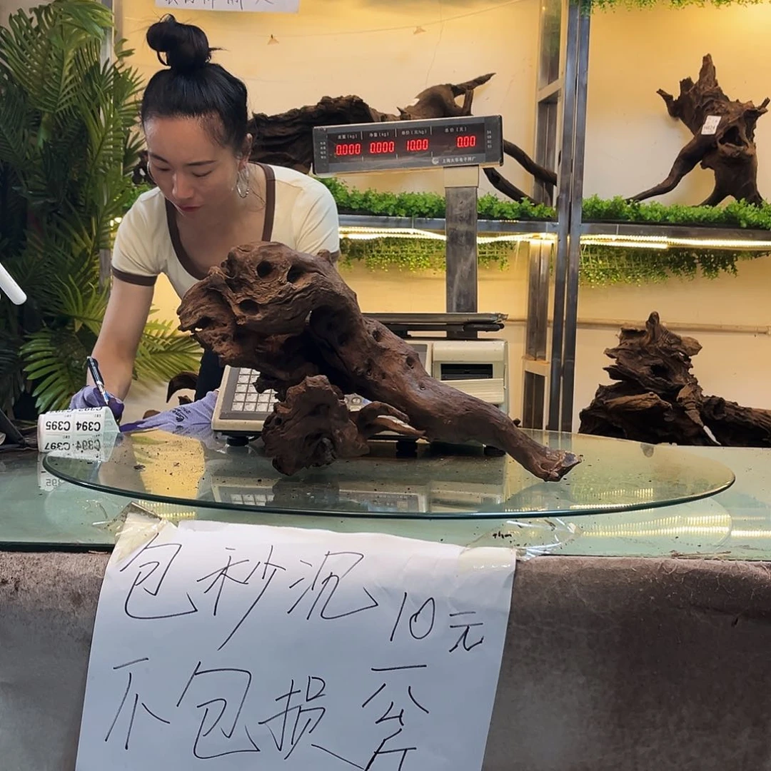 柚木飞*沉木鱼缸造景