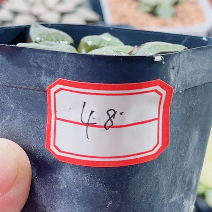 十二卷 实生寿 福利