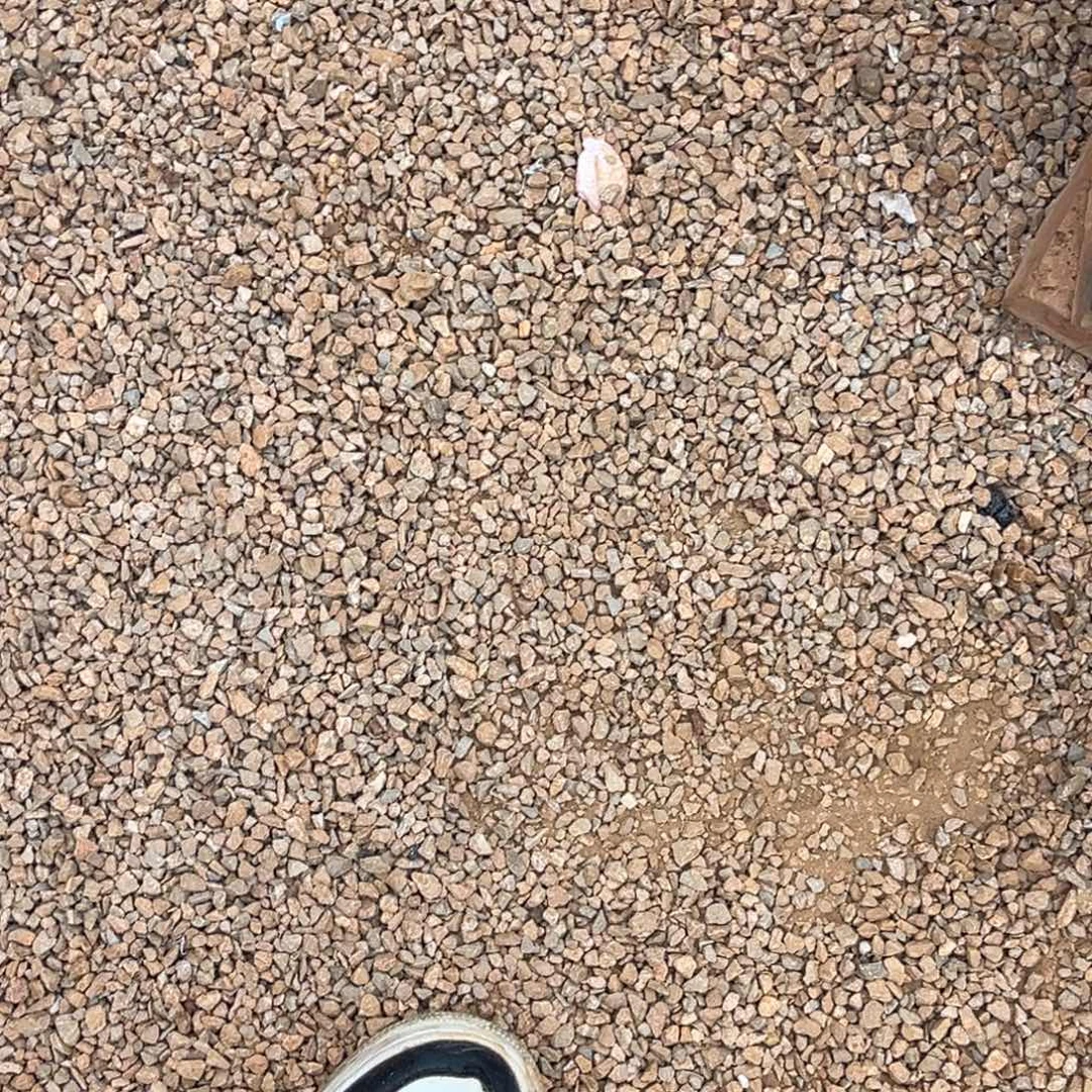 有***西小姐姐的多肉植物群生充值