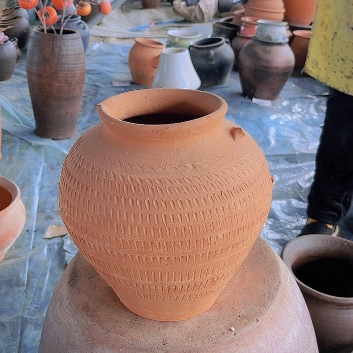 红陶002号22×12耳朵掉了