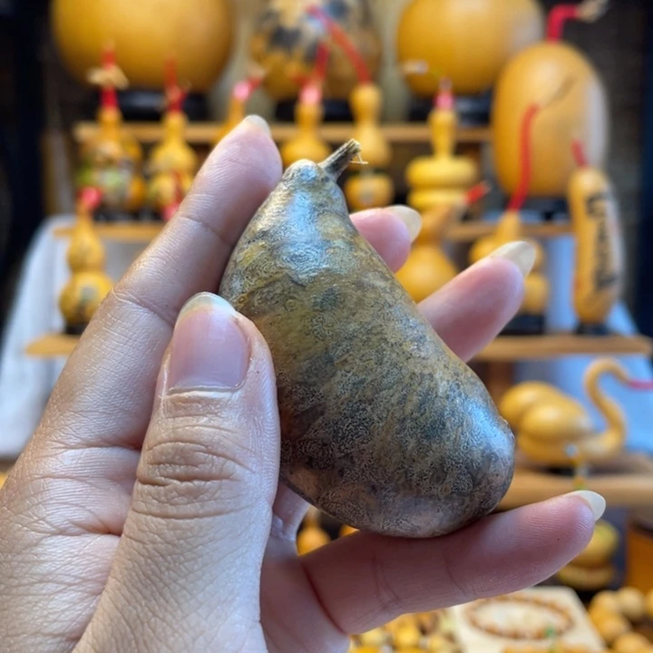 语***馨天然葫芦自然生长