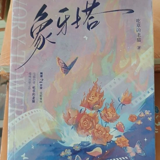 象牙塔 默认微瑕正版图书。