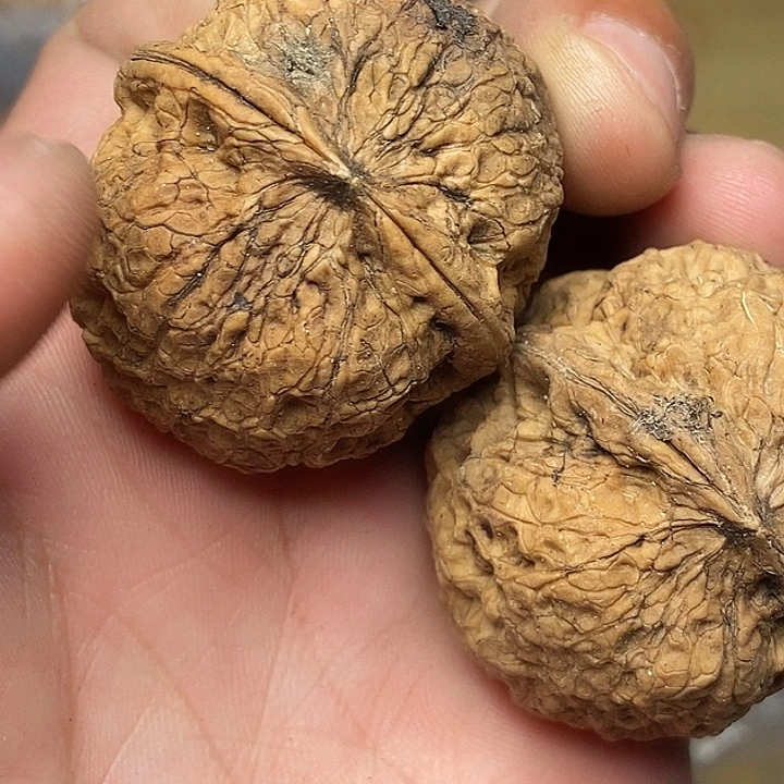把件文玩核桃云南铁核桃83