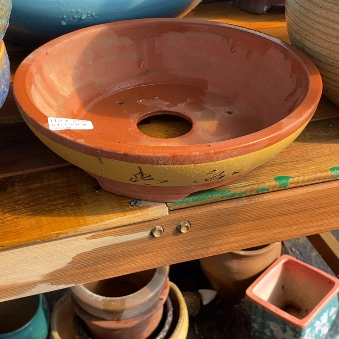 295号多肉盆口径20