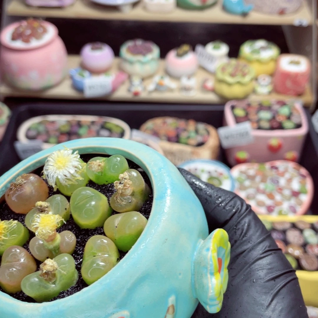 夜间零下地区拍保温箱w5774