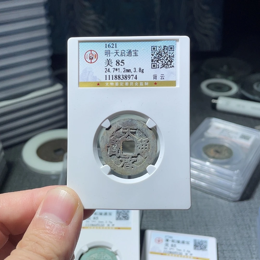 金猛男落泪天启通宝