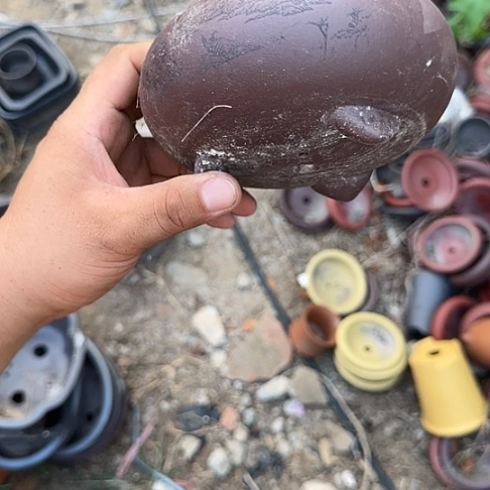 是一个集休闲农业的休闲胜地以及