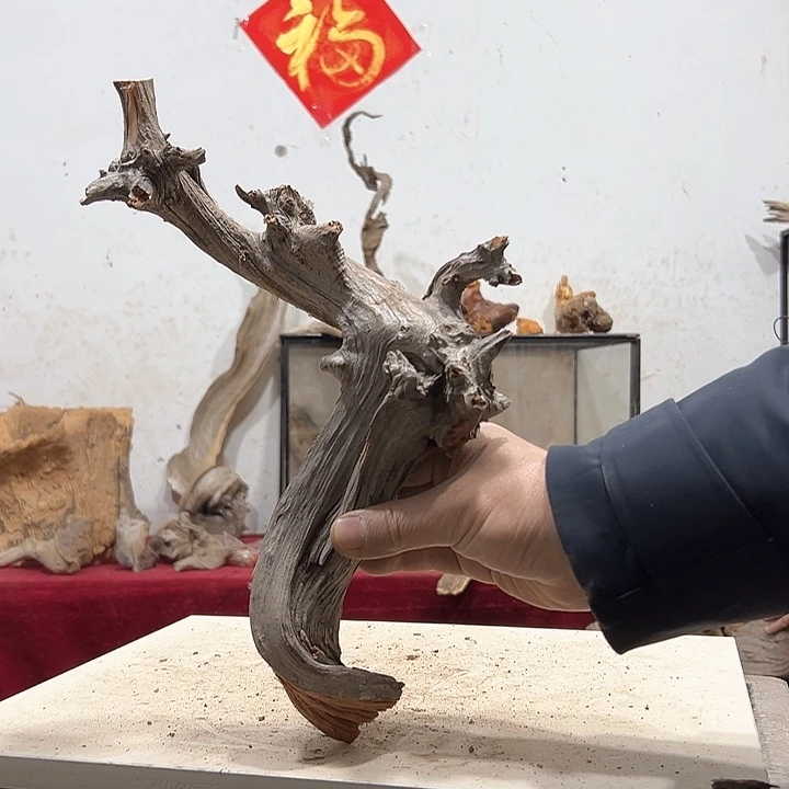 柏木用****2我们的生活也