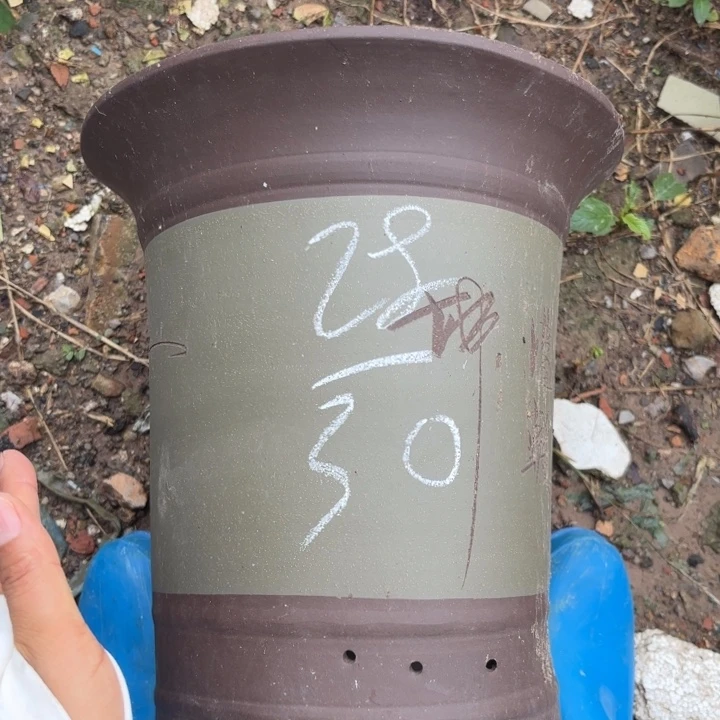 紫砂花盆紫砂的花