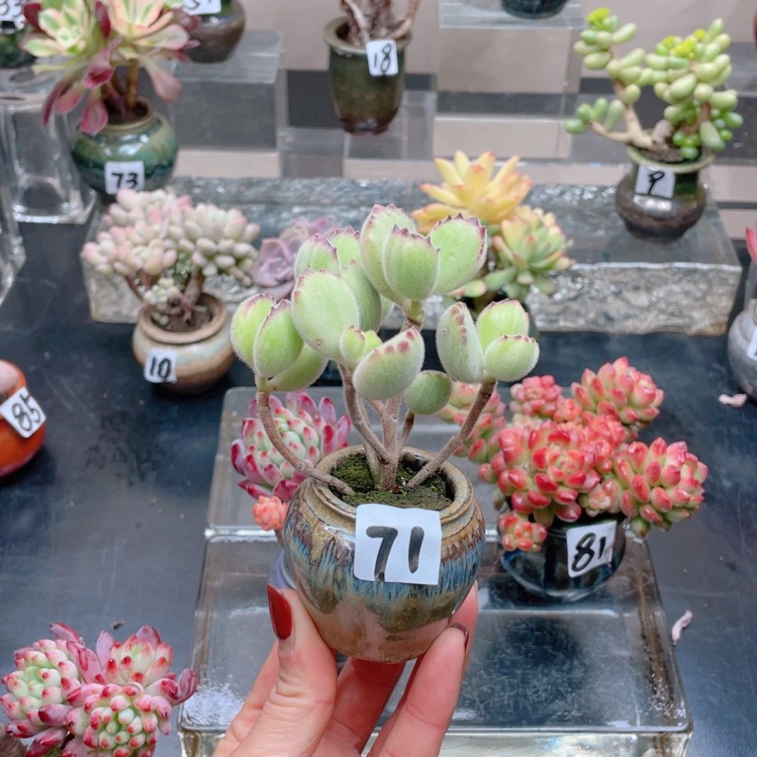 无铅玻璃糖****店花器进去花器就花器