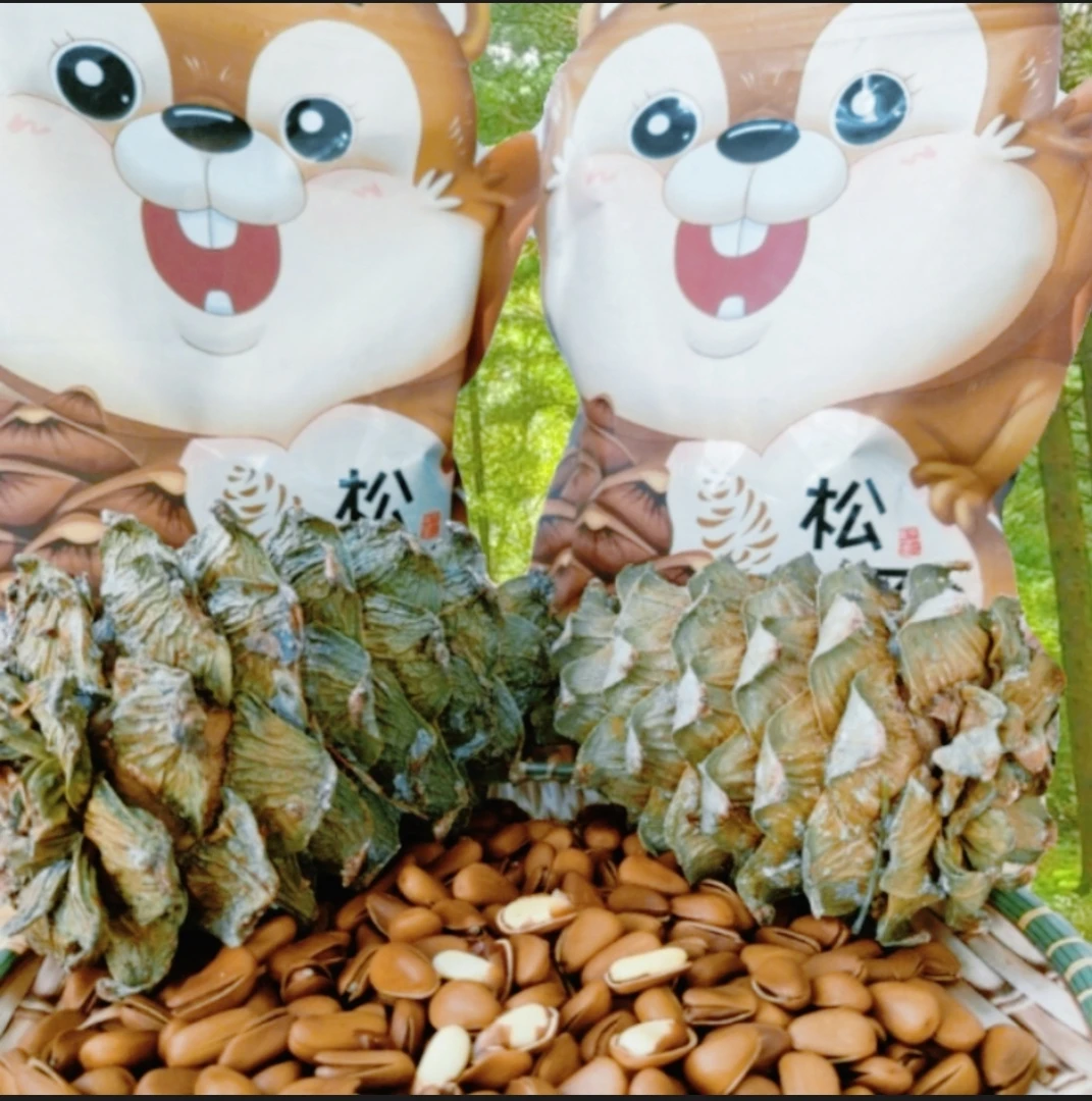 950大颗粒爆炒新货东北红松子零食坚果答谢特惠