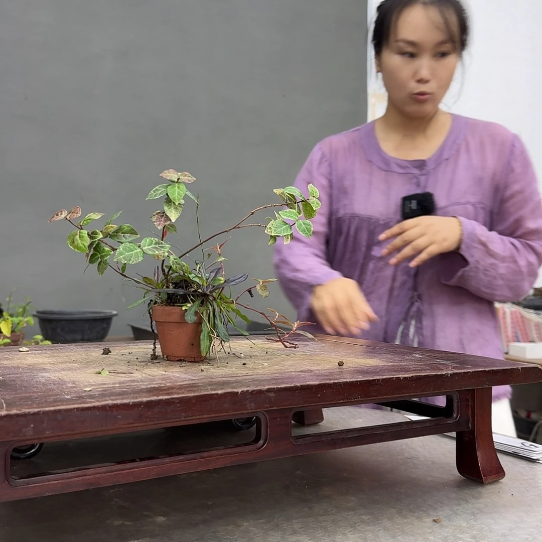 疯***鱼50顺丰到付。