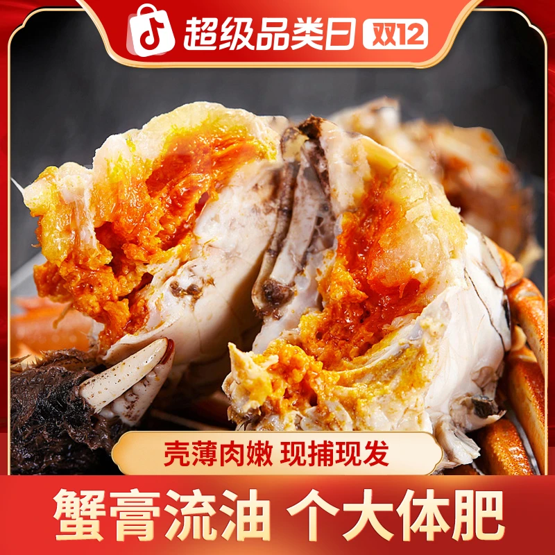 双12【活蟹】6-5.7两全公大闸蟹  买8只送2只 到手10只  包邮