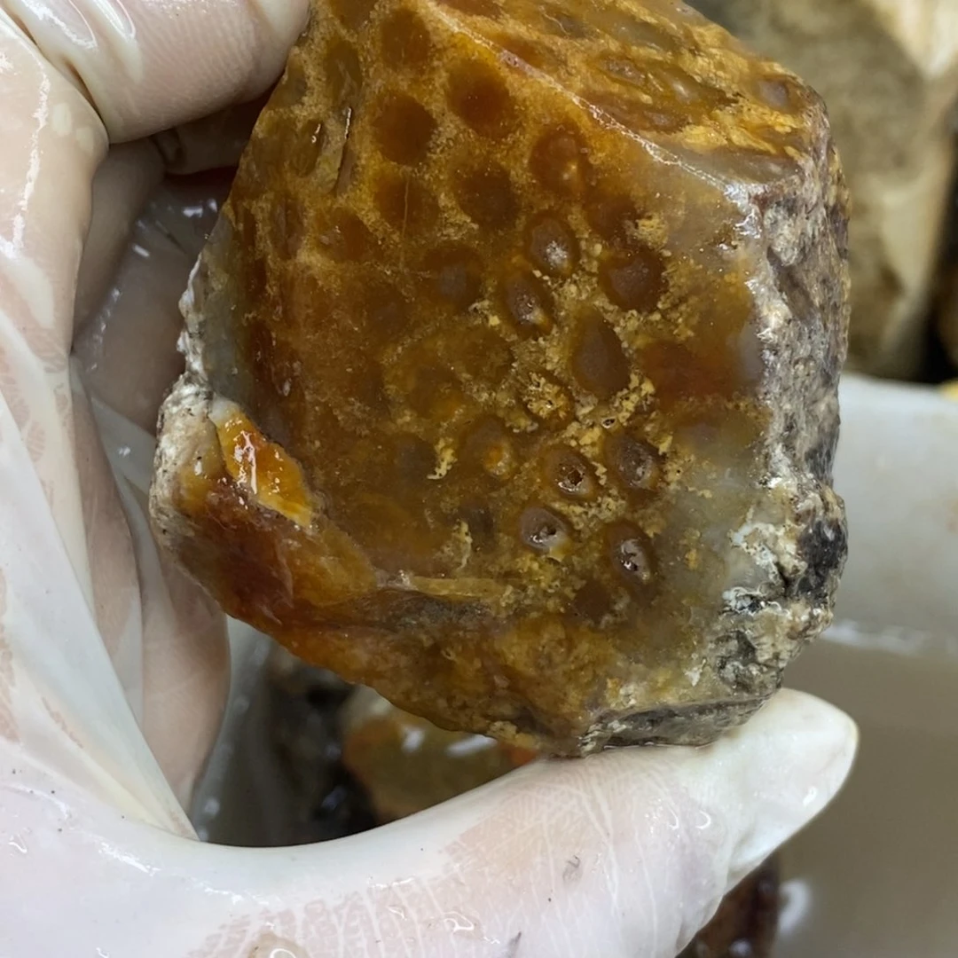 【闪购商品】硅化玉颈饰未镶嵌