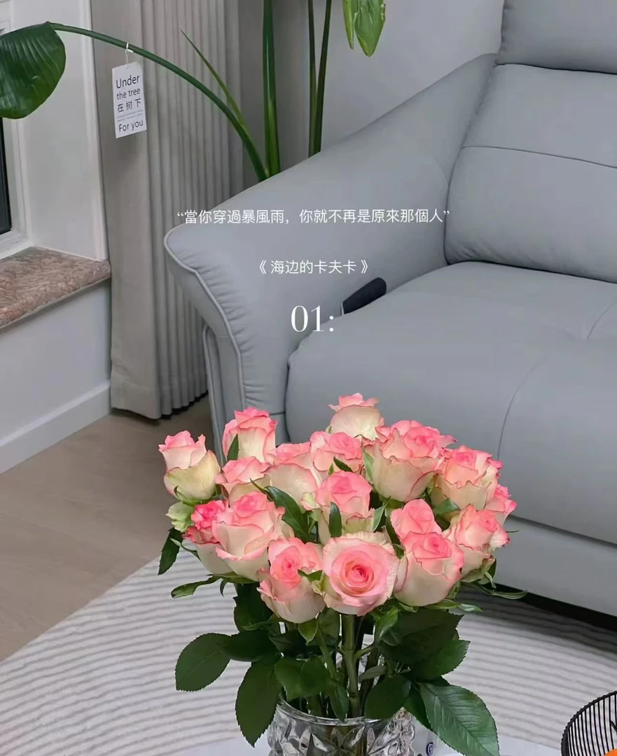 【顺丰包邮】艾莎玫瑰 云南鲜花基地批发直播 家用办公室插花
