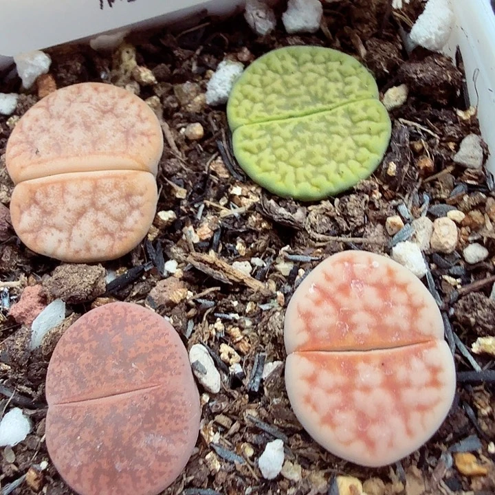 我们一起看电视的时间794这个