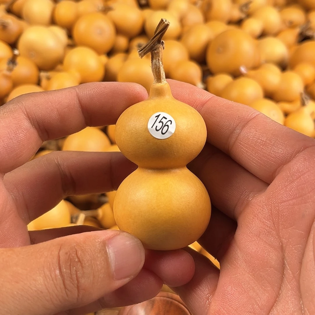 葫芦葫芦葫芦葫芦葫芦156