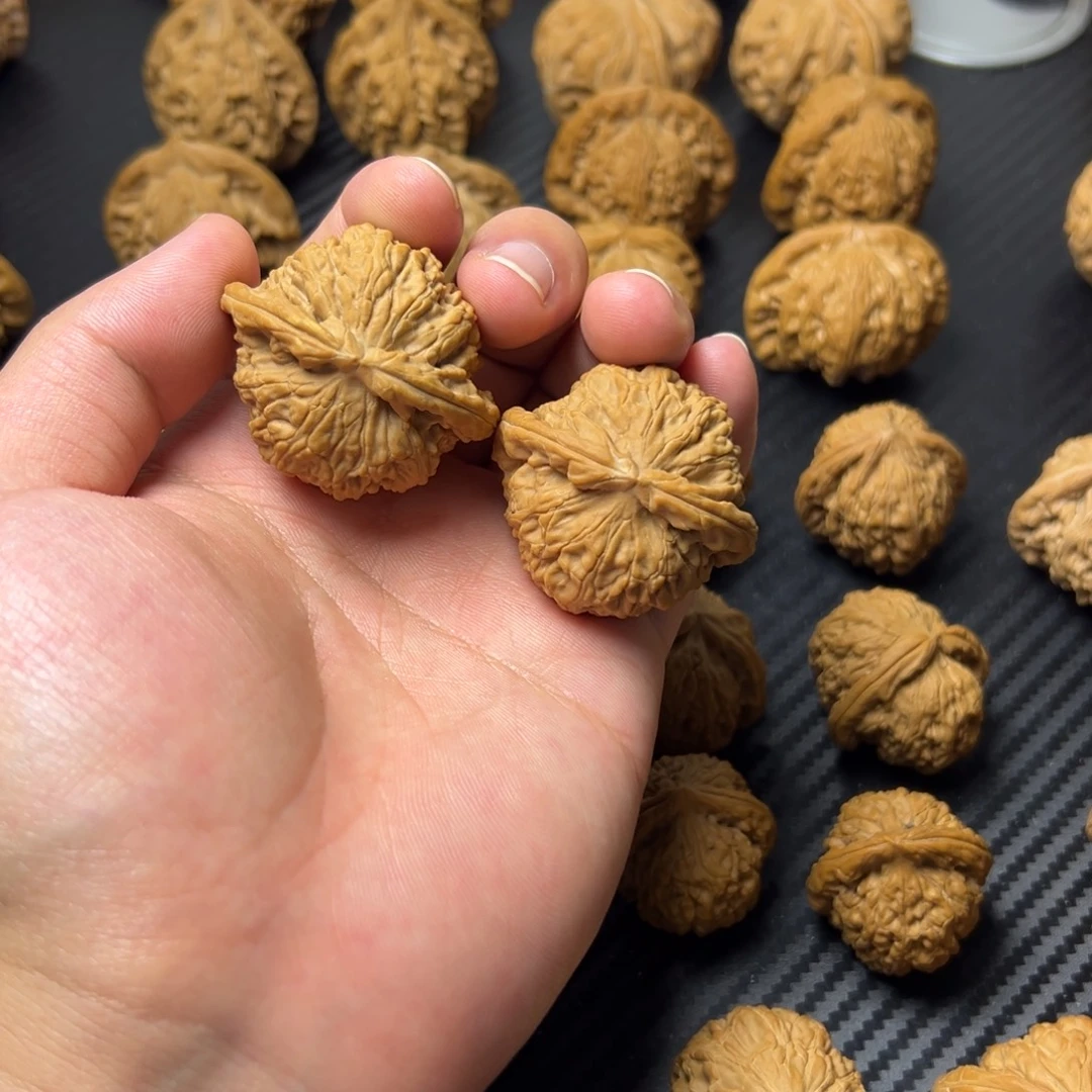 把件文玩核桃白狮子40