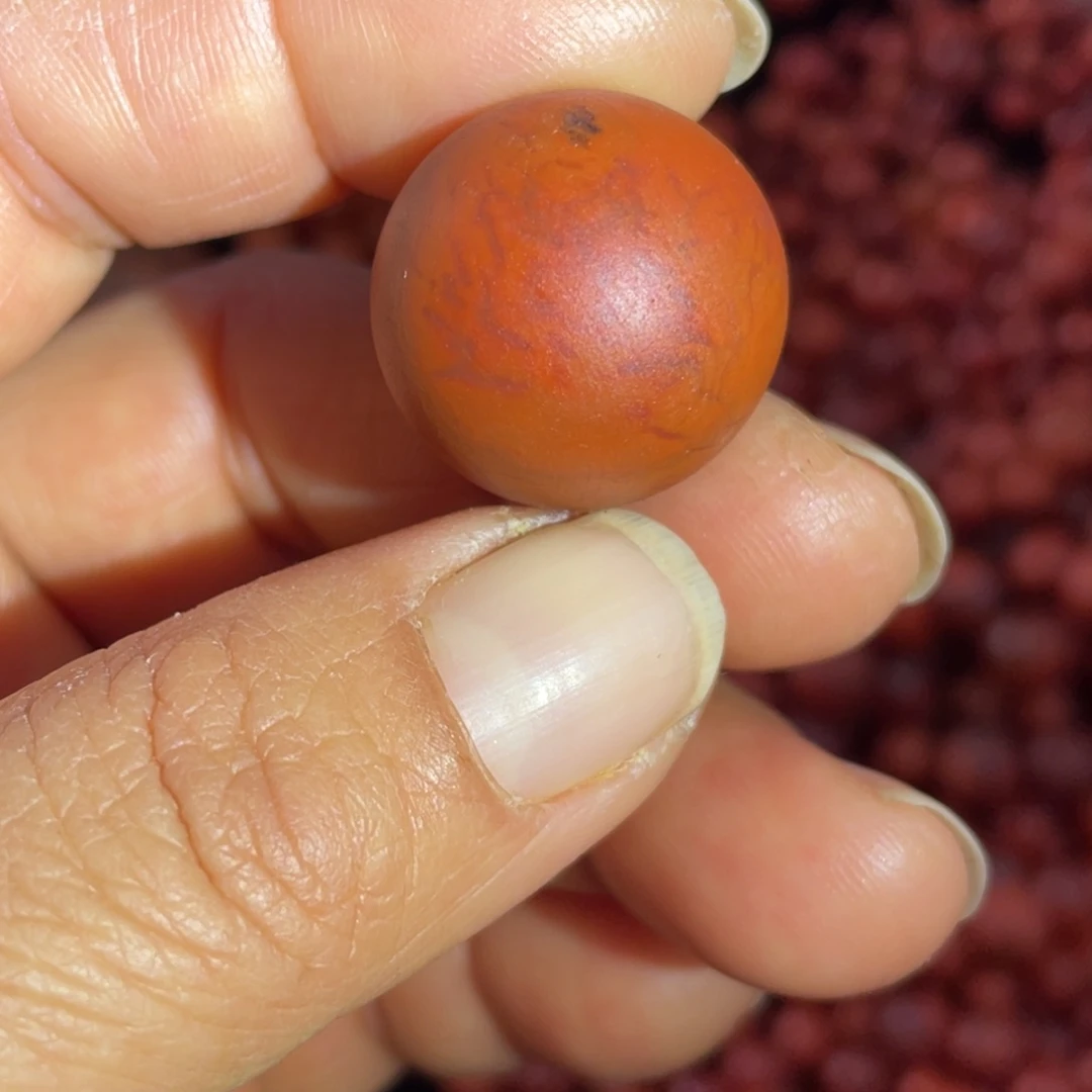 南红玛瑙未镶嵌颈饰