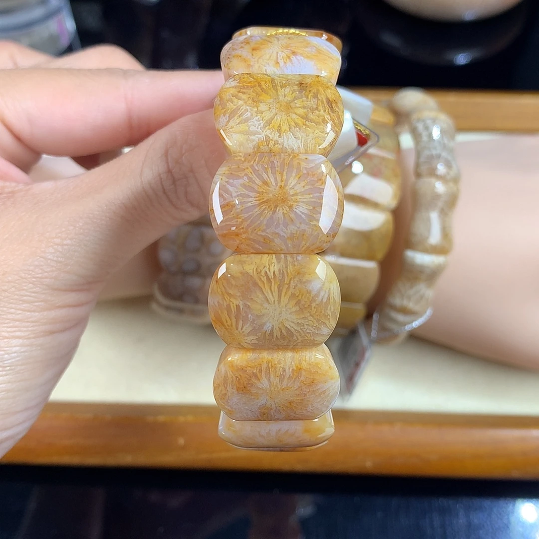 吊坠(赠链)未镶嵌硅化珊瑚（珊瑚玉）20号永生花手排