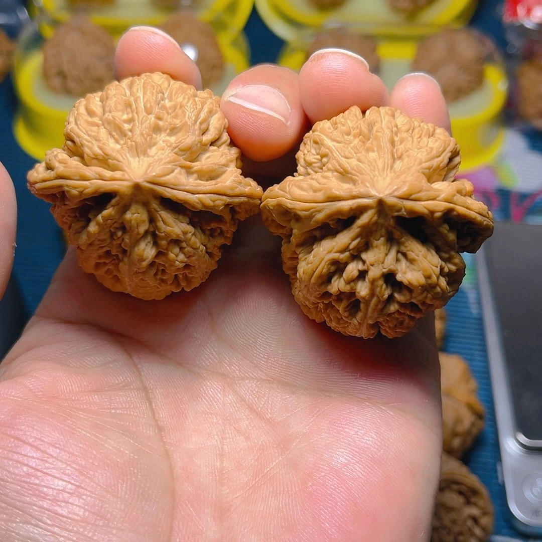 文玩核桃吊坠大粗筋