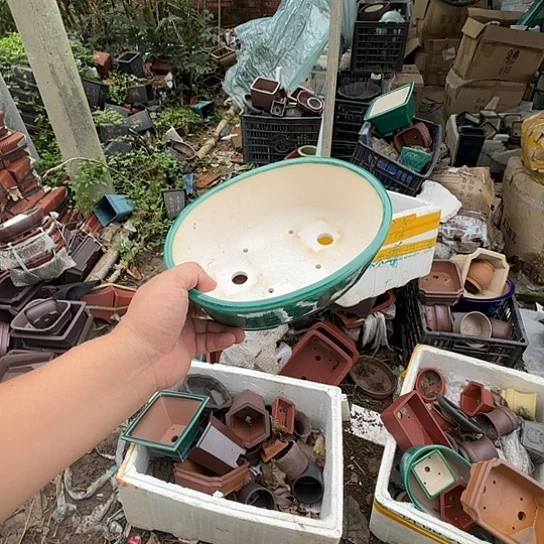 这一期太有意思咯嘛啊太开心