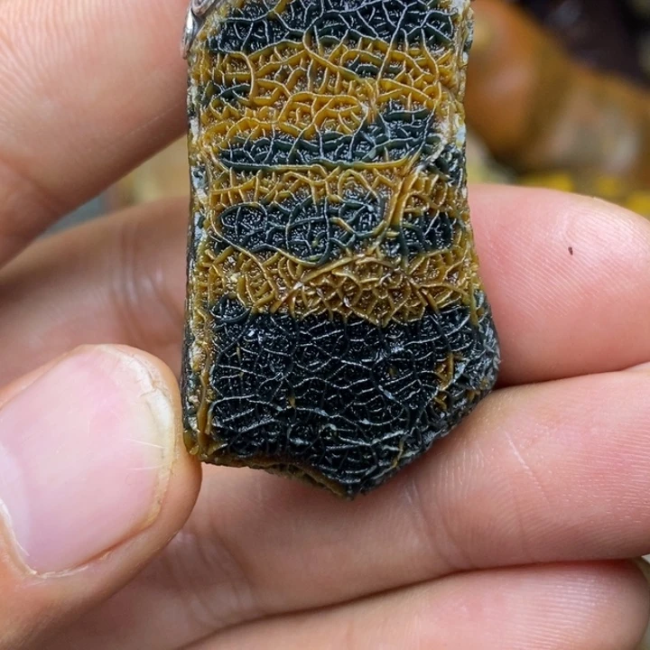 木佛**生新疆巴楚黑山经脉石