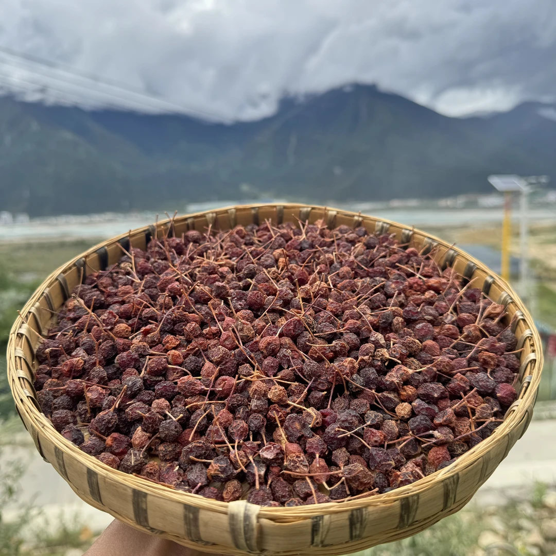 西藏高海拔野生山楂特色藏山楂