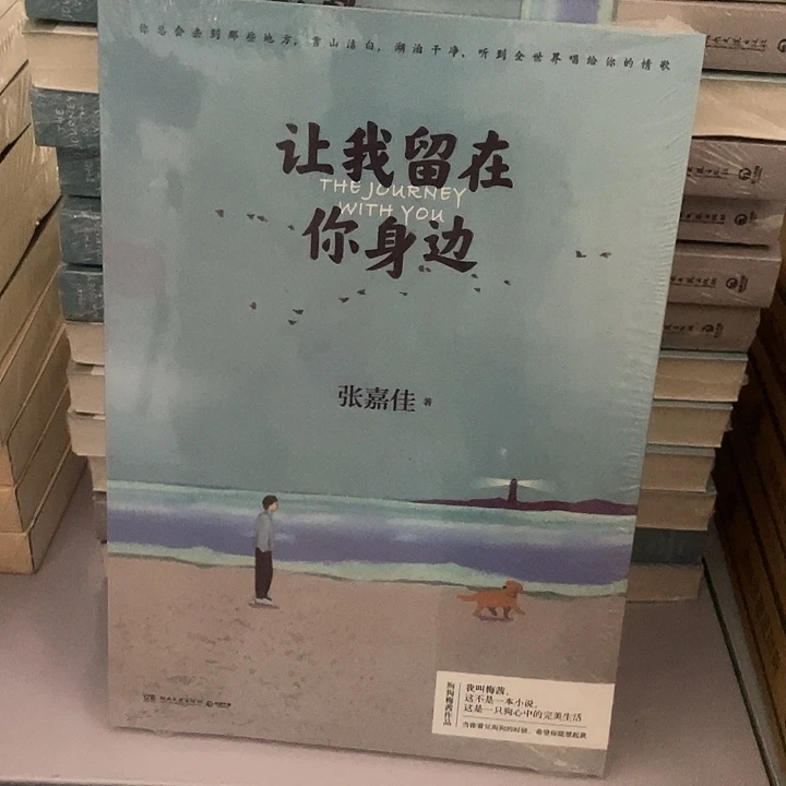 让我留在你身边   平装带塑封