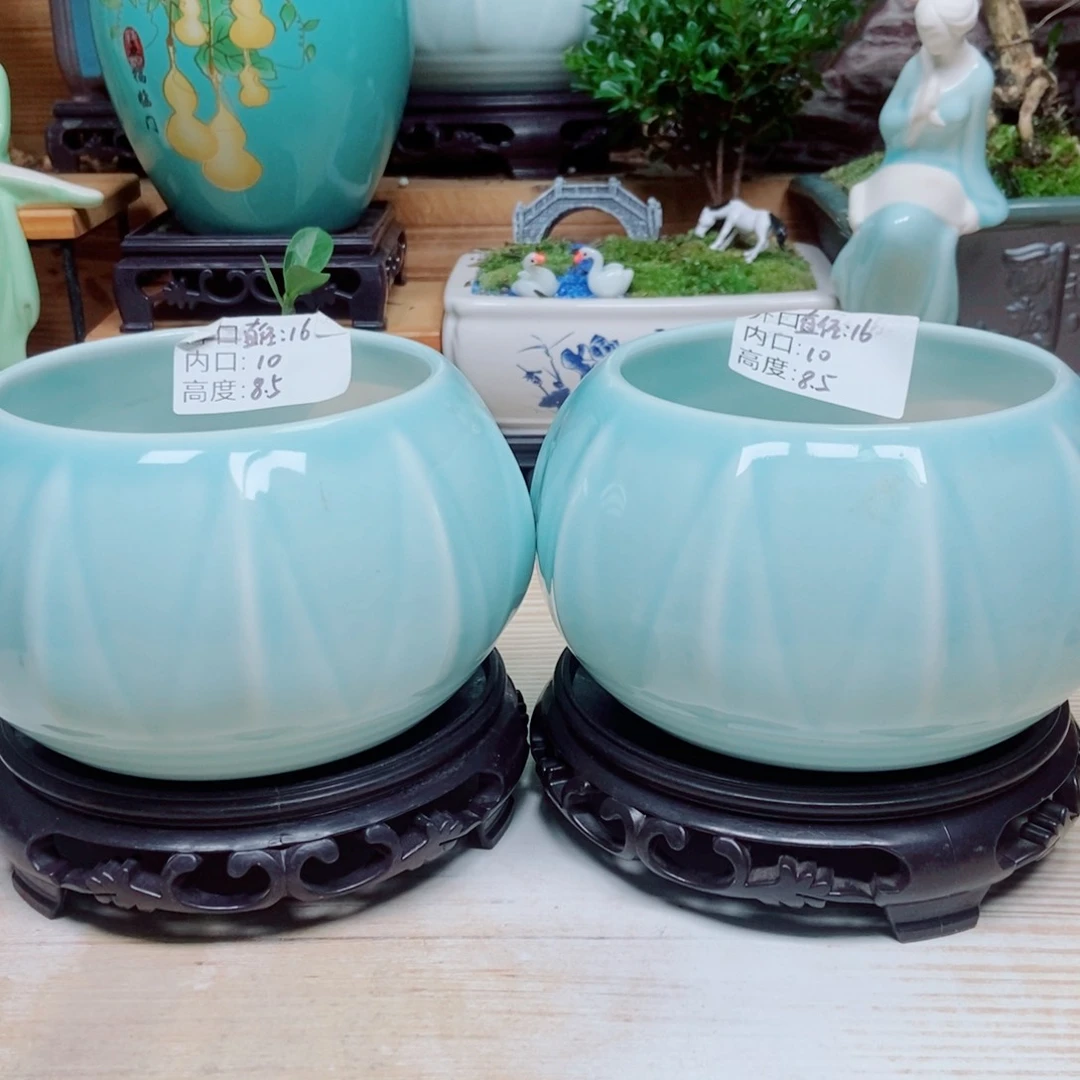 紫砂花盆陶瓷花盆陶瓷艺术