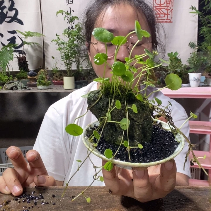 闪***晶无花朵退款拉黑拉黑198