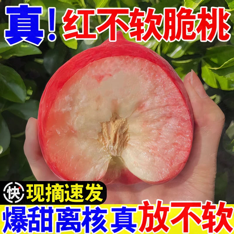 【精选】山西水密脆桃新鲜桃子鲜甜多汁水蜜桃当季时令水果整箱包邮