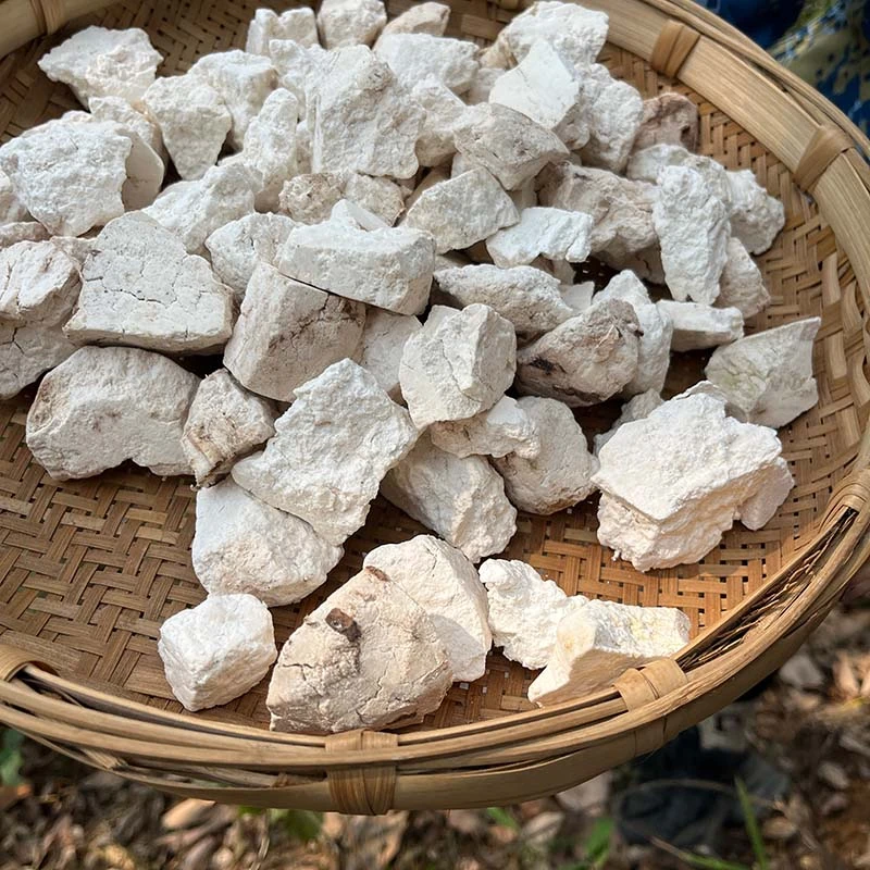 云南挖深山纯野生白茯苓正品中药材伏苓打粉片块食用土茯苓250克