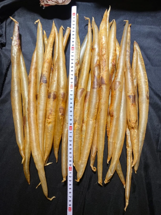 老鳗鱼胶大鳗鱼胶条500g
