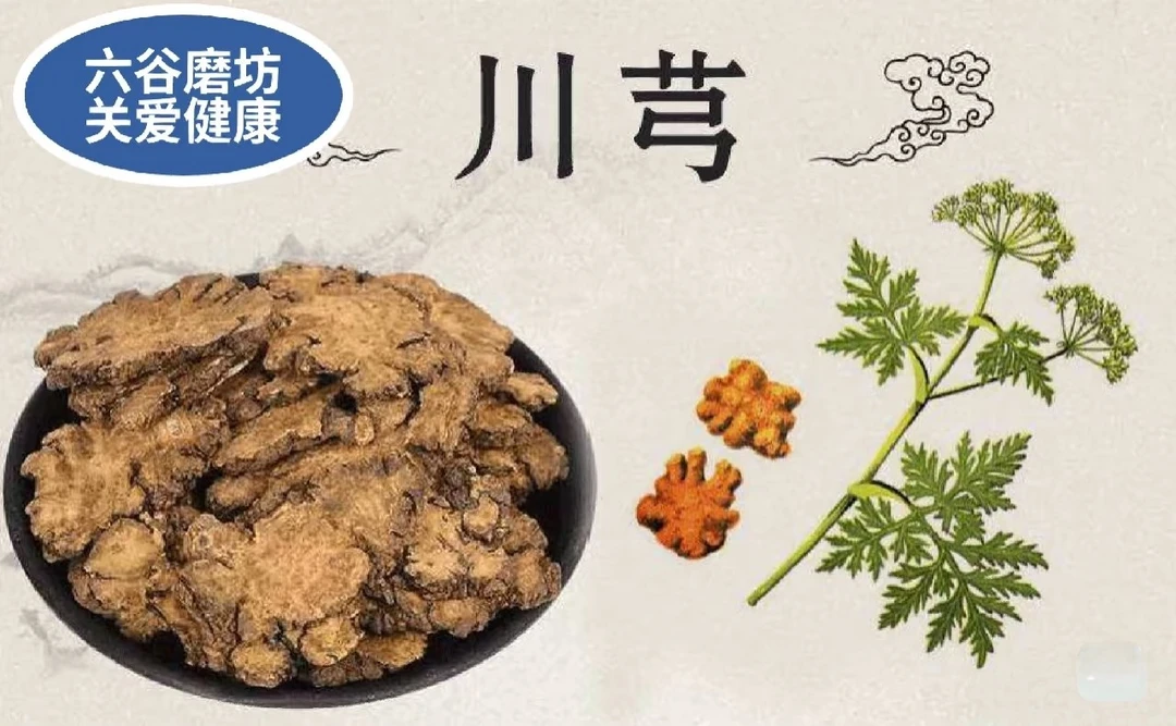 野川芎四川精选大片