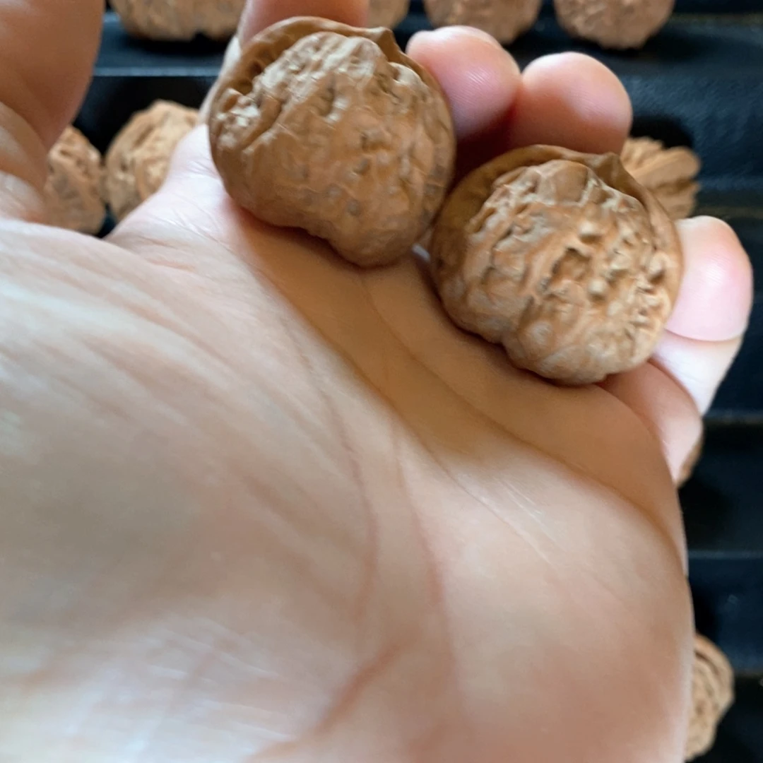 桃核把件山地蛤蟆全品37