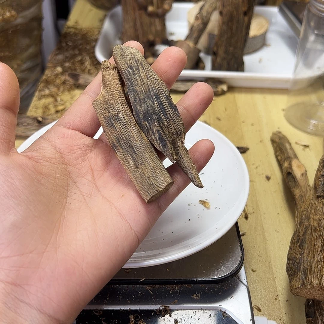 木绿奇楠虫漏12克