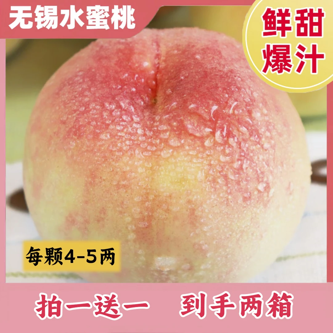 【拍一箱送一箱 】5-4两无锡水蜜桃现摘新鲜超甜当季整箱桃子礼盒