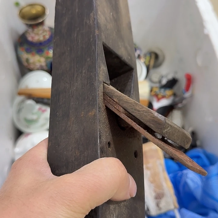 语***海扇子 故哥哥哥哥哈哈哈哈哈哈哈