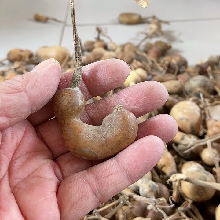 fgj kb c chj be h