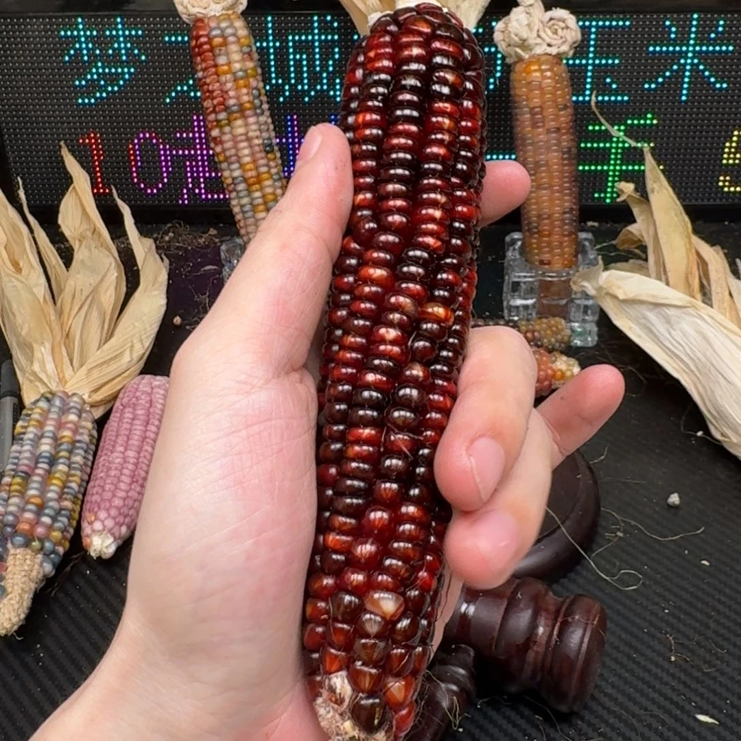 柏香籽/百香籽吊坠柚***檬