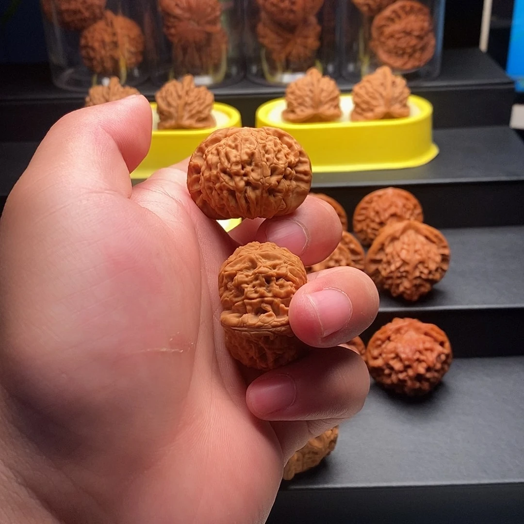 文玩核桃把件39.5核王