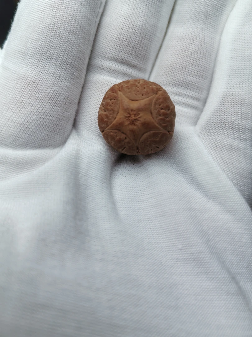 尼泊尔凤眼菩提凸眼五星三通21mm