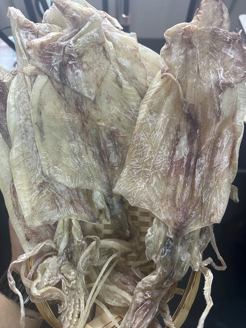 汕尾马宫本港鱿鱼